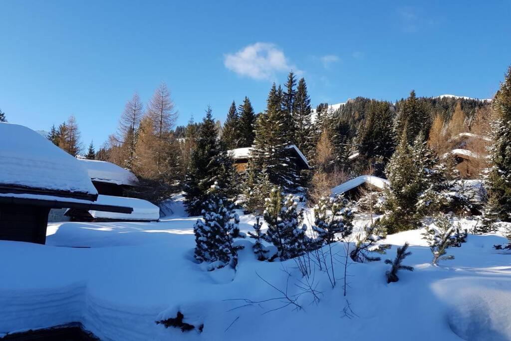 Chalet Wulli In Der Naehe Der Skianlagen Savognin Kültér fotó