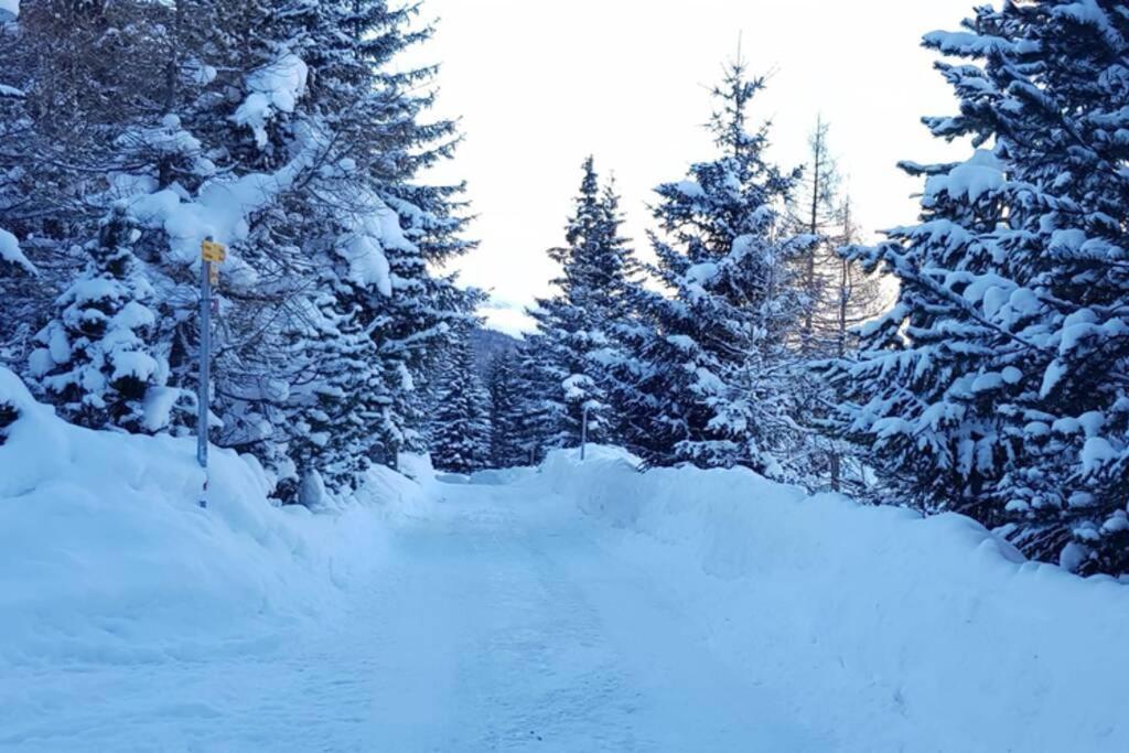 Chalet Wulli In Der Naehe Der Skianlagen Savognin Kültér fotó