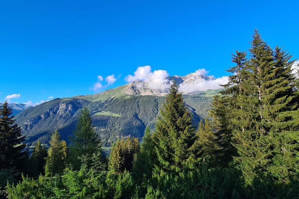 Chalet Wulli In Der Naehe Der Skianlagen Savognin Kültér fotó