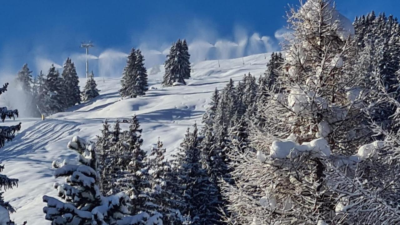 Chalet Wulli In Der Naehe Der Skianlagen Savognin Kültér fotó