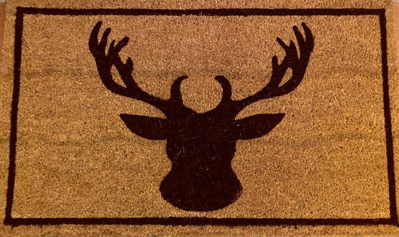 Chalet Wulli In Der Naehe Der Skianlagen Savognin Kültér fotó